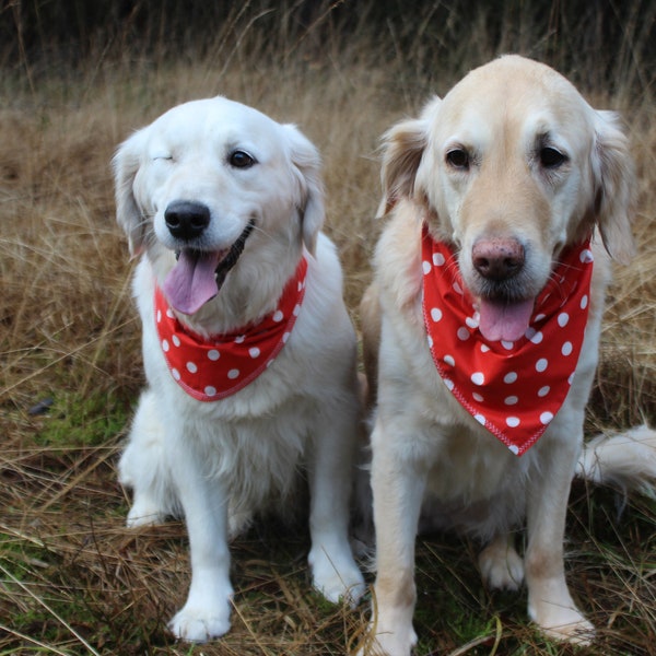 Bandana Halstuch für Hunde in rot mit weißen Punkten. Beidseits zu tragen. Runde oder Dreieckform. Verschiedene Größen