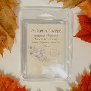 Autumn Breeze Wax Melt: Bergamot, Patchouli, Balsam Fir, Clove - Coconut Beeswax Blend