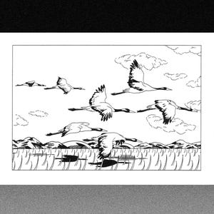 Stampa risograph di uccelli migratori - Gru giapponesi