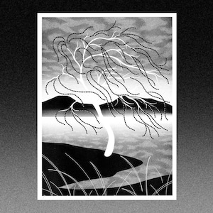 Impression risographie d'un saule pleureur - au bord du lac