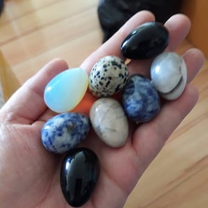 Wood Nest or Stone Egg