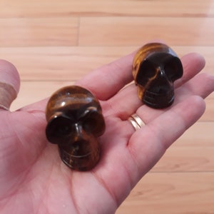 Puede incluir: Dos pequeñas tallas de calavera de ojo de tigre. Las calaveras son marrones y doradas con ojos negros y una talla detallada de la calavera.