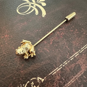 May include: A gold-toned frog brooch with a long, thin pin. The frog is sitting on a brown leather surface.