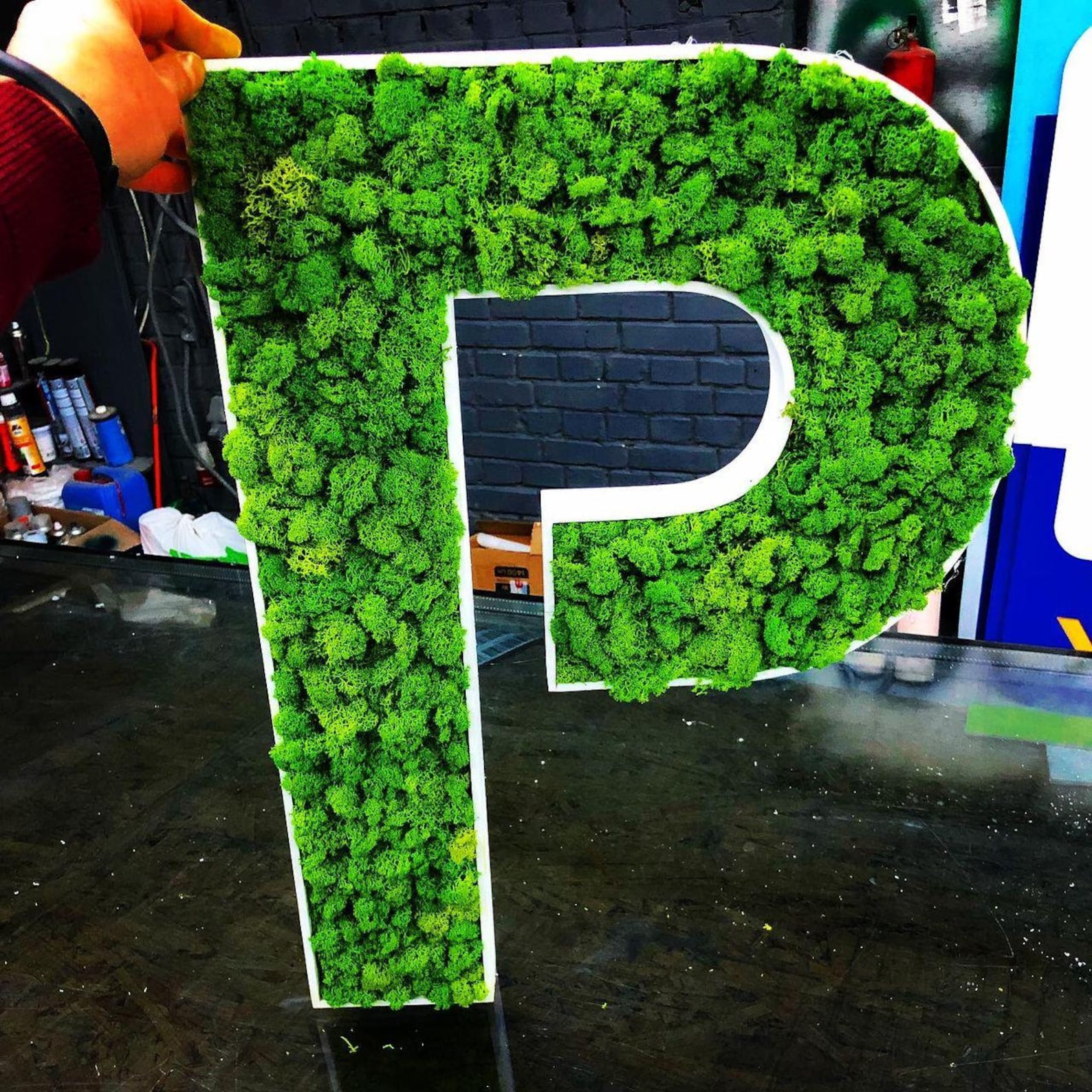 Preserved Moss Letter Boxwood Letter Hedge Letter Greenery Etsy