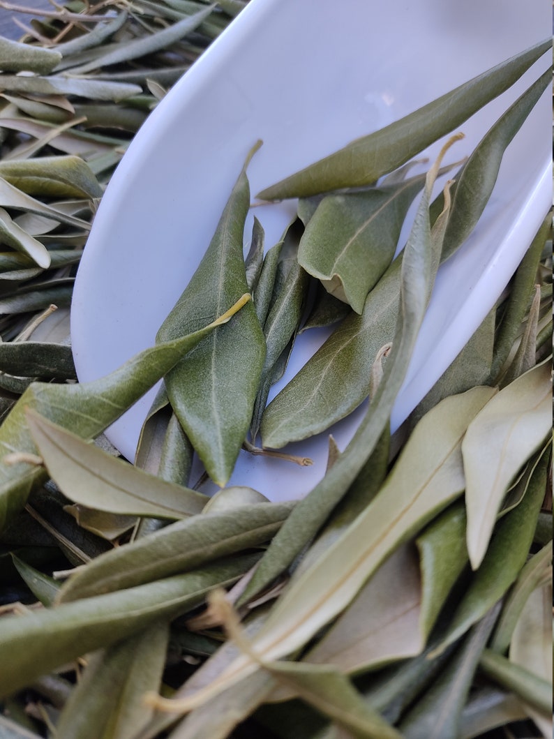 Hojas de olivo enteras griegas secas 100 orgánicas Té de Etsy México