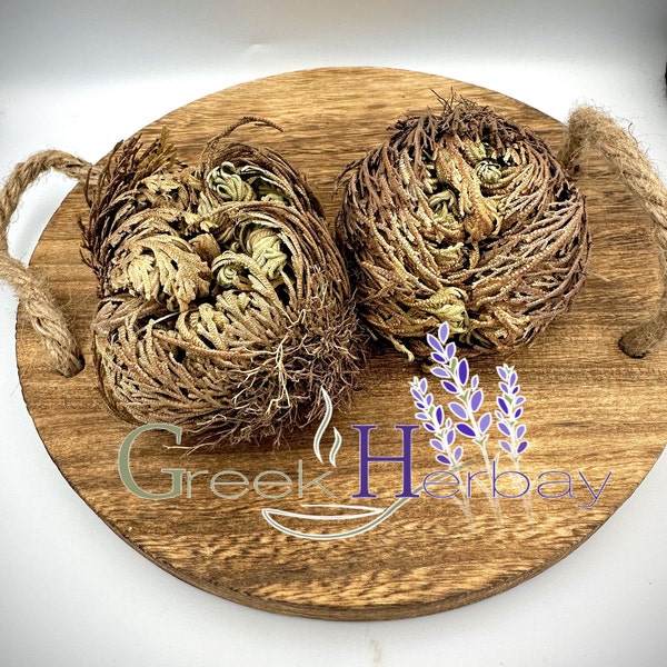 Rose of Jericho Resurrection Flower Jericho Rose Dried Whole Plant - Selaginella Lepidophylla | Superior Quality Herbs & Spices