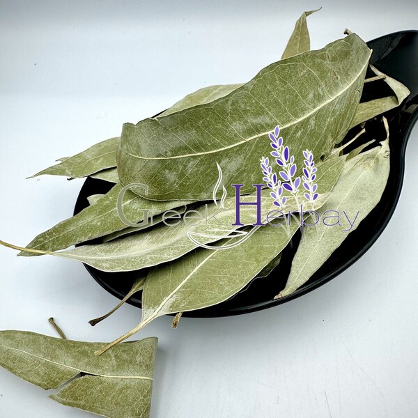 Eucalyptus Leaf Herbal Tea – 2 Oz Loose Leaf Tea, Herbal Remedy & Infusion 1 thumbnail image