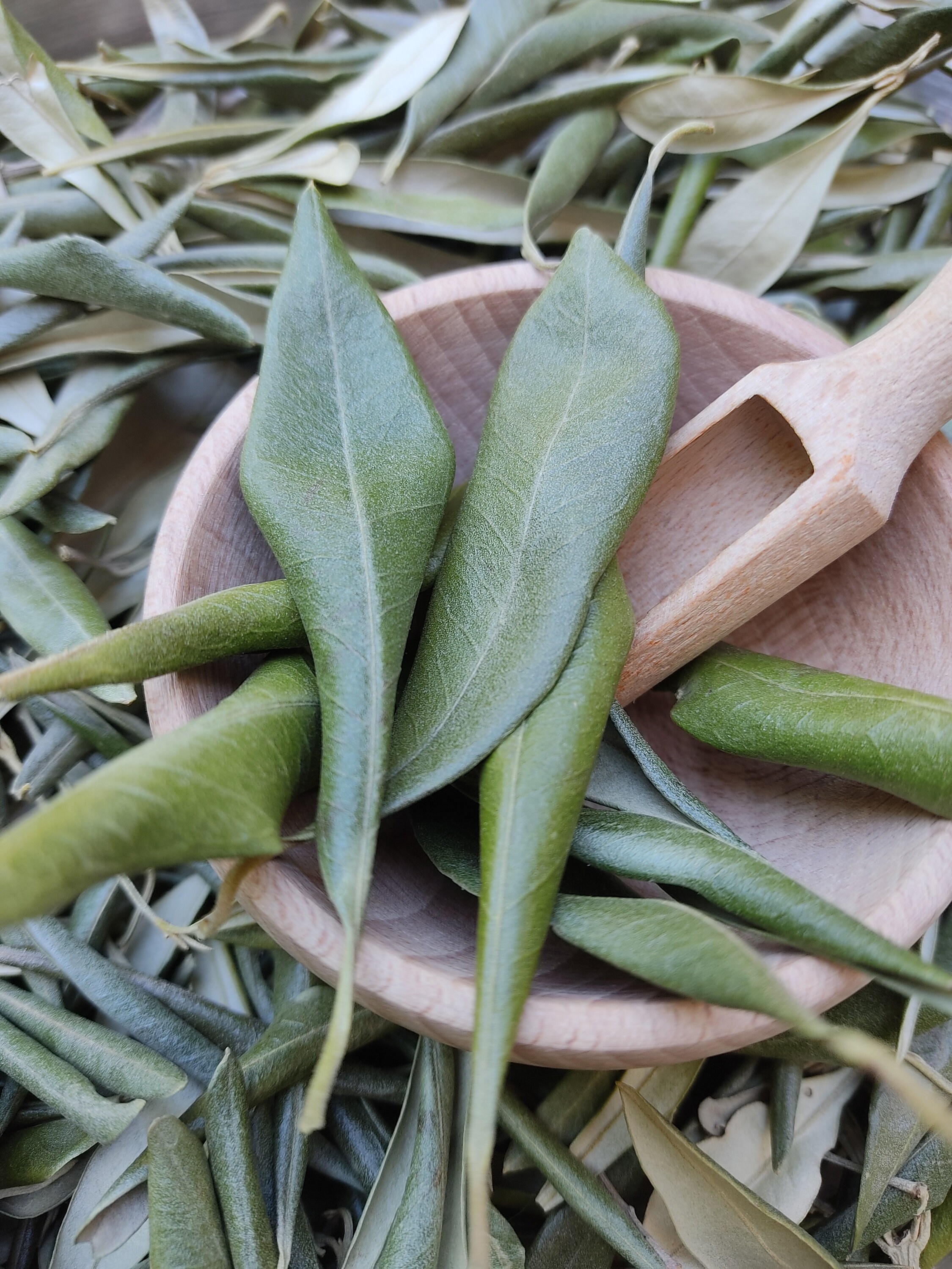 Hojas de olivo enteras griegas secas 100 orgánicas Té de Etsy México