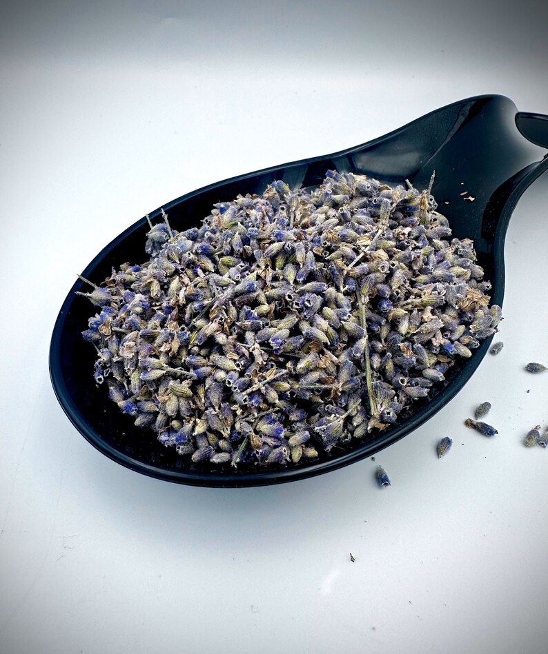 100 Greek Organic Dried Lavender Buds Flowers lavandula Etsy