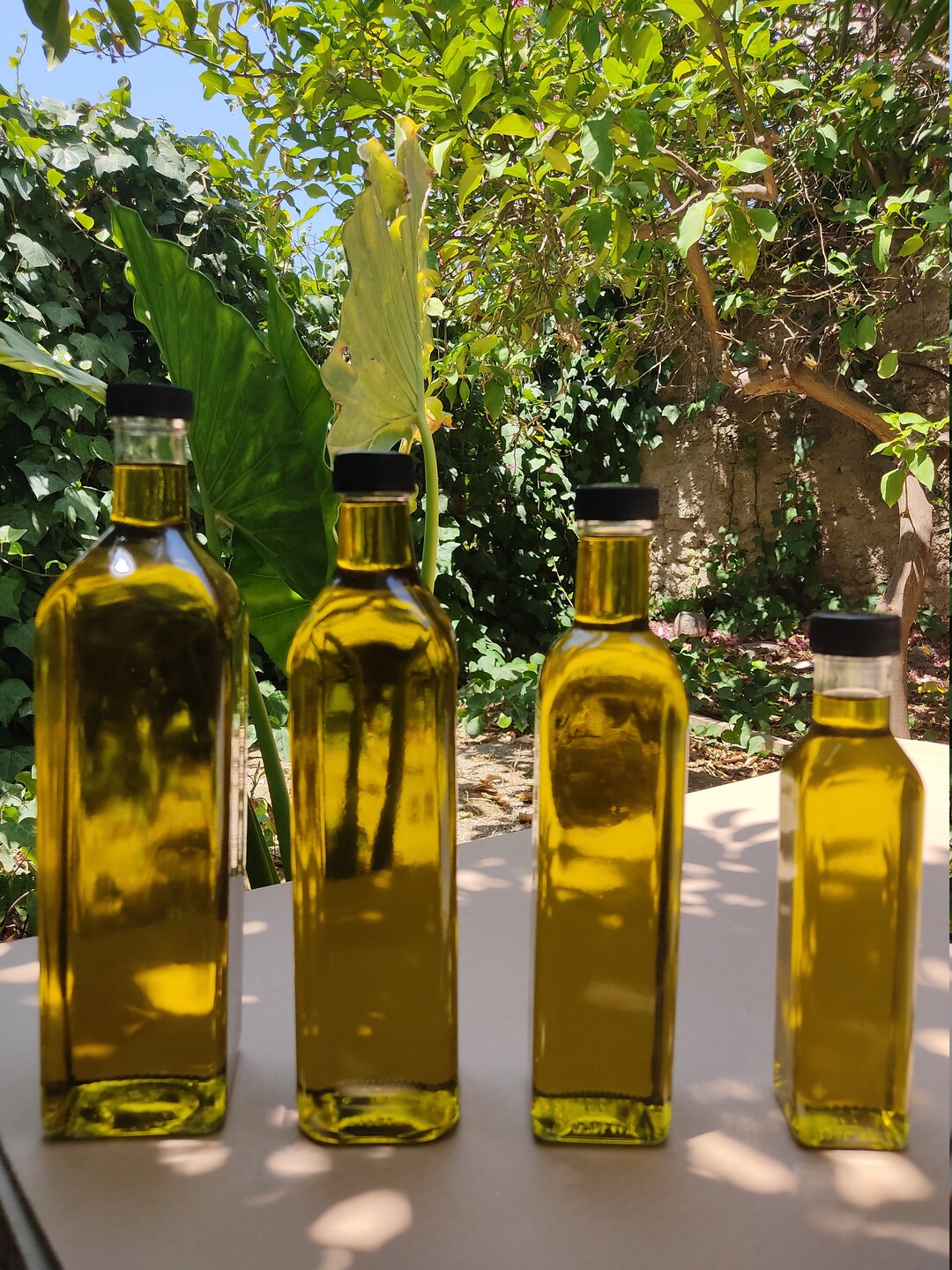 Greek Extra Virgin Olive Oil Kalamata Single Origin Cold