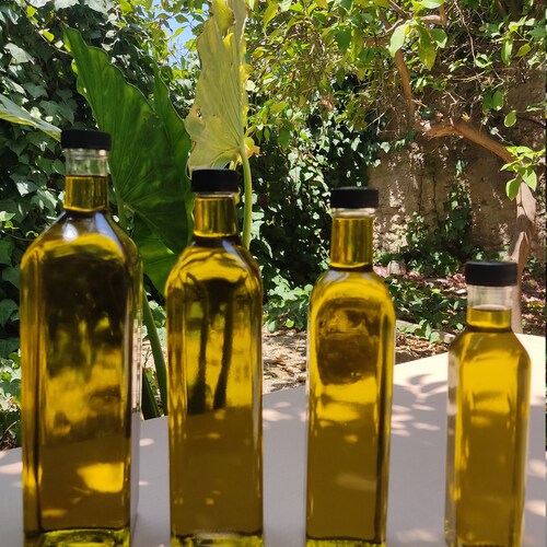 Organic Greek Extra Virgin Olive Oil From Sparta Fresh Etsy