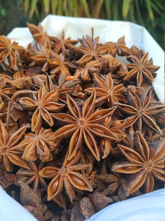 Star Anise Plant