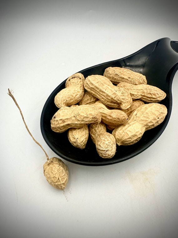 Cacahuètes décortiquées