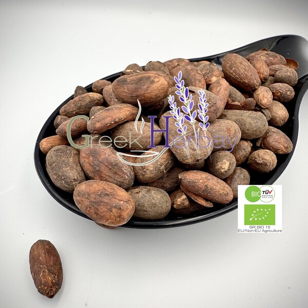 100% Organic Raw Criollo Whole Cacao Beans - Theobroma Cacao - Superior Quality | Superfood Beans