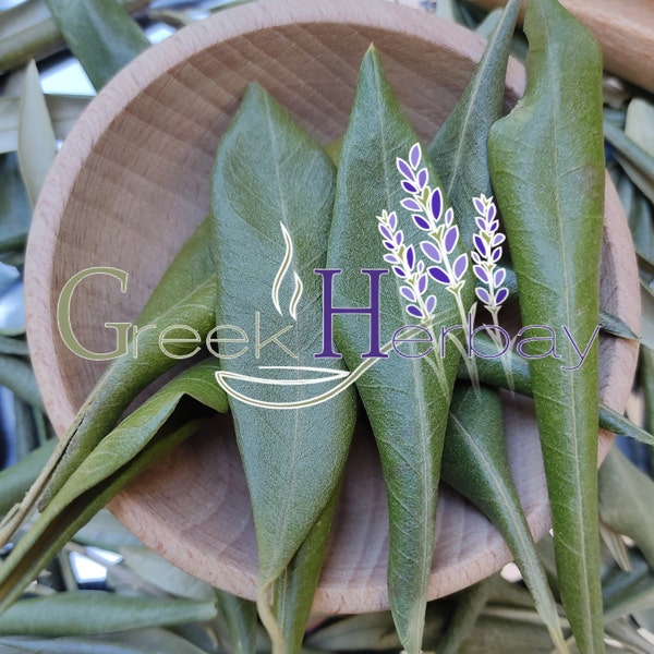 Té de hierbas de hojas de olivo secas griegas - Olea europaea - Hierbas y especias de calidad superior