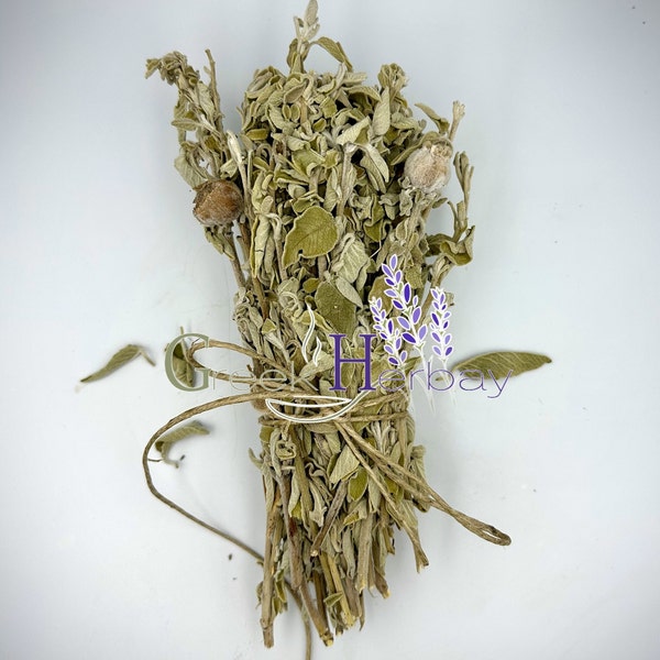 Sage Tea Bunch Whole Herb - Salvia Triloba - Superior Quality Herbs & Spices