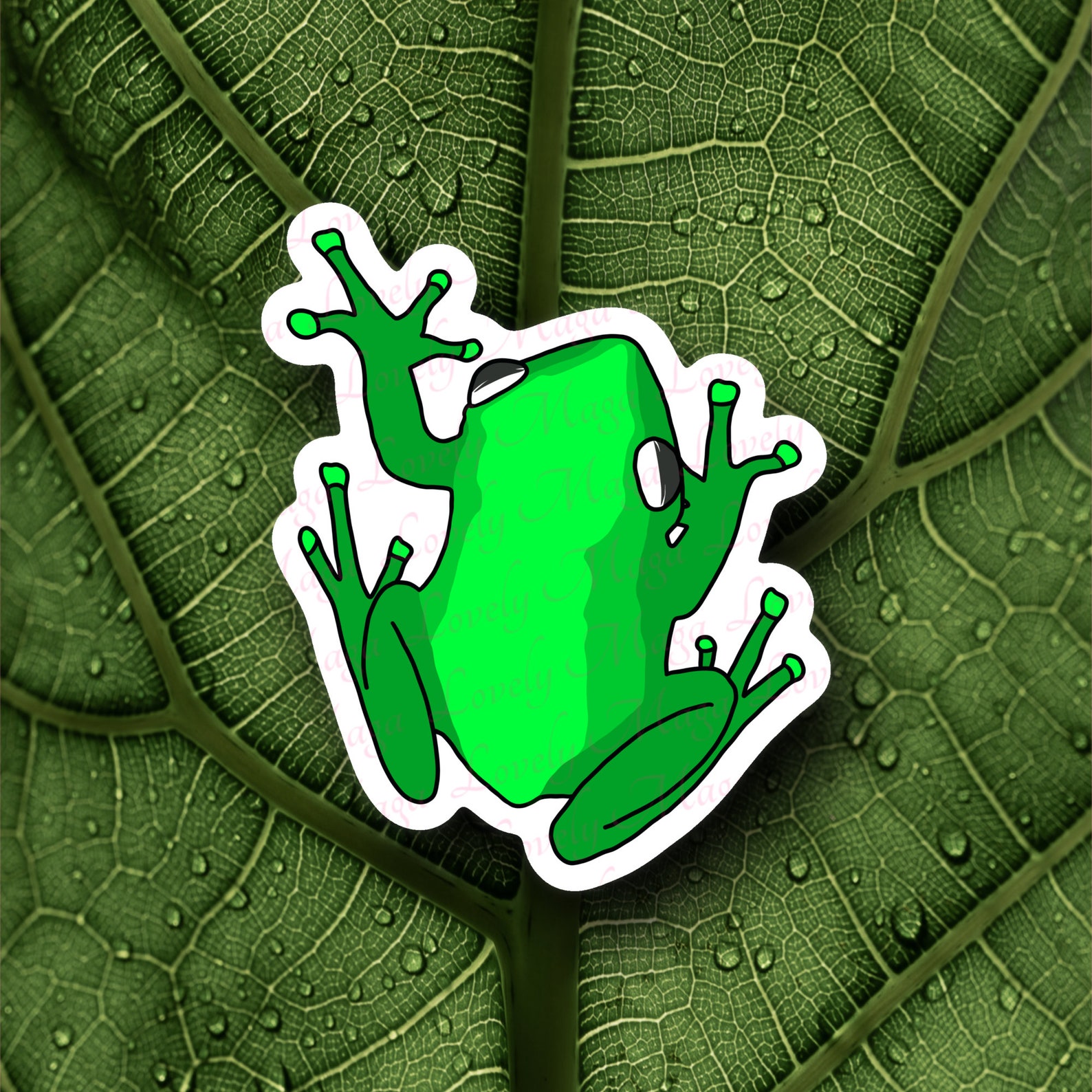 Coqui Sticker, Frog, Puerto Rico Art, Glossy Sticker, Puerto Rico Gift