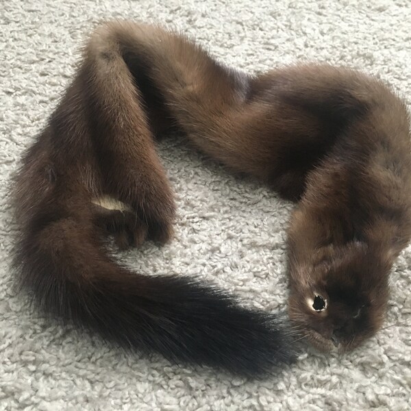 Mink Pelt