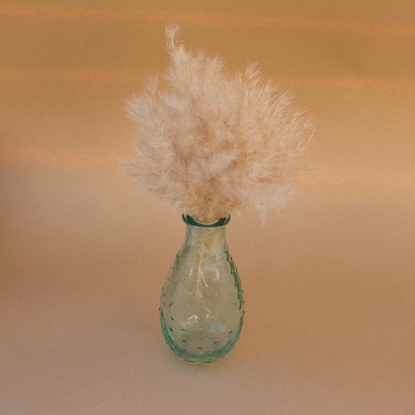 Mini Aqua Glass Vase with Pampas Grass