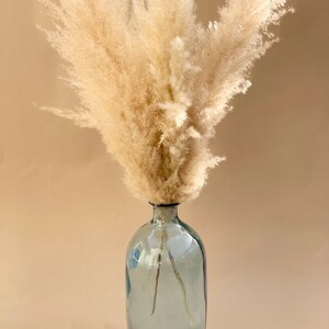 pampas vase