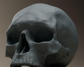 Modelo STL imprimible en 3D de cráneo humano, hueco, semirrealista.