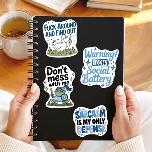 K&ouml;nnte beinhalten: Ein schwarzes Notizbuch mit vier humorvollen Aufklebern. Die Aufkleber zeigen S&auml;tze wie "Fuck Around and Find Out" und "Sarcasm is My Only Defense". Die Aufkleber haben Cartoon-Illustrationen einer Gans, eines Frosches und anderer Designs.