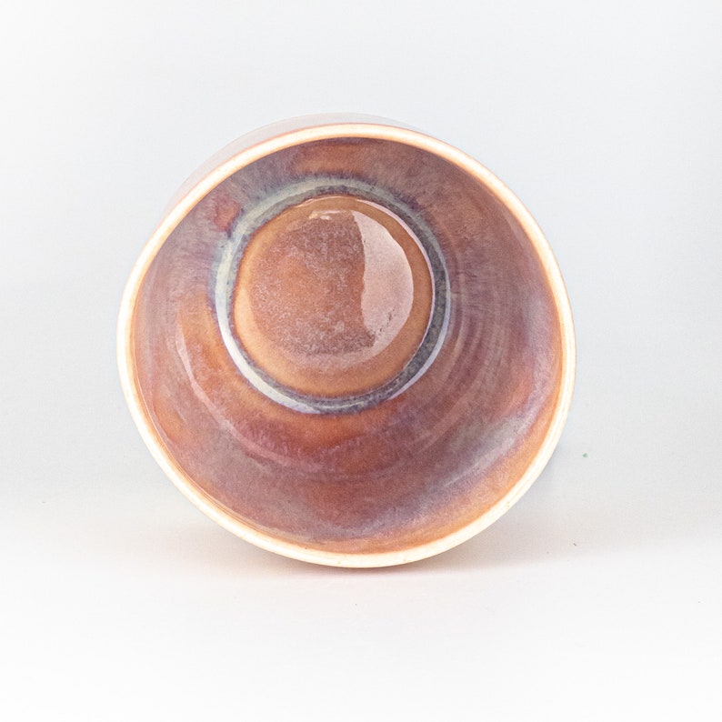 May include: A brown ceramic bowl with a white rim. The bowl has a glossy finish and a subtle iridescent sheen.