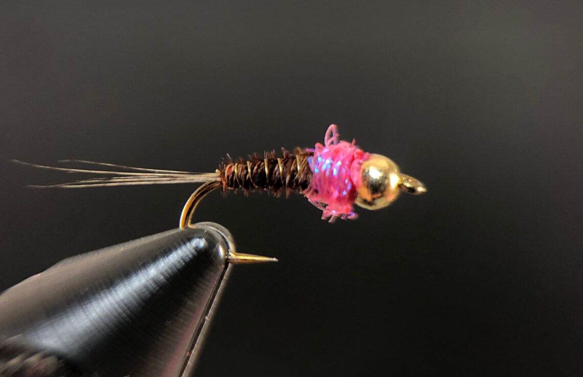 Frenchie Nymph Fly Best Nymph Fly Patterns Hand Made Fly Etsy