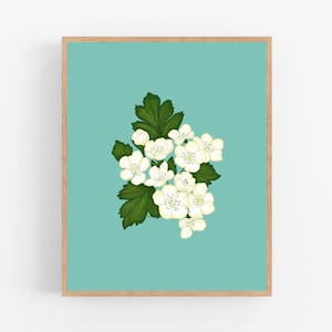 Hawthorn Color Illustration / Printable / Art / Digital Download / State Flower / Missouri State Flower / Botanical / Wall Art / Flower