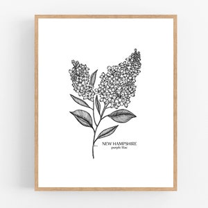 New Hampshire Purple Lilac Ink Sketch Print / Printable / Art / Digital Download / Illustration / State Flower Print/ Lilac / New Hampshire