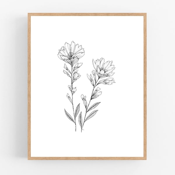 Indian Paintbrush Ink Sketch Print / Printable / Art / Digital Download / Botanical Print / Indian Paintbrush Drawing / Wyoming State Flower