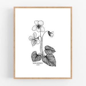 New Jersey Violet Ink Sketch Print / Printable / Art / Digital Download / Illustration / State Flower Print/ Violet / Viola