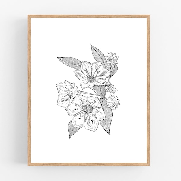 Mountain Laurel Ink Sketch Print / Printable / Art / Digital Download / Pen Sketch / State Flower / Pennsylvania  / Wall Art / Flower