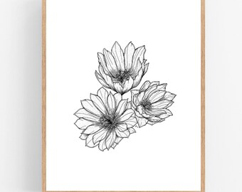 Bitterroot Black Ink Illustration Digital Download Art Print / Montana State Flower Printable