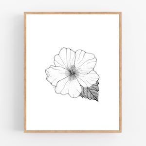 Flor de Maga Ink Sketch Print / Imprimible / Arte / Descarga Digital / Boceto a pluma / Flor Nacional / Puerto Rico / Arte mural / Flor