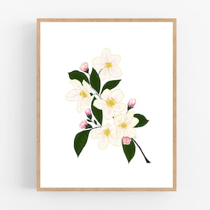 Apple Blossom Illustration / Printable / Art / Digital Download / Color Sketch / State Flower / Arkansas / Michigan  / State Flower