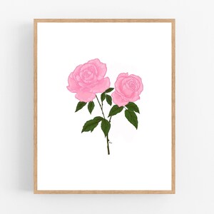 Pink Rose Color Illustration / Printable / Art / Digital Download / Botanical Print / Rose / Roses / New York / Oklahoma / Pink Rose
