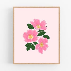 Wild Prairie Rose Illustration Print / Printable / Art / Digital Download / Botanical Print / North Dakota State Flower / Iowa Flower Print
