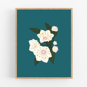 Mountain Laurel Color Illustration / Printable / Art / Digital Download / State Flower / Pennsylvania / Connecticut / Wall Art / Flower