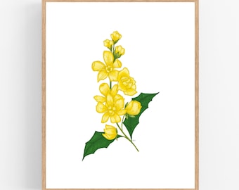 Oregon Grape Color Illustration Digital Download / Oregon State Flower Printable