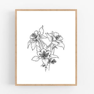 Columbine Ink Illustration Print / Printable / Art / Digital Download / Pen Sketch / State Flower / Colorado / Wall Art / Flower / Columbine