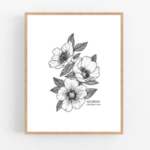 Georgia Cherokee Rose Ink Sketch Print / Printable / Art / Digital Download / Pen Sketch / State Flower / Georgia / Cherokee Rose / Flower
