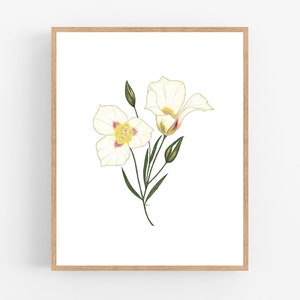 Sego Lily Illustration Print / Printable / Art / Digital Download / Wall Art / State Flower / Utah State Flower / Sego Lily / Flower Print