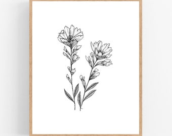 Indian Paintbrush Ink Sketch Print / Printable / Art / Digital Download / Botanical Print / Indian Paintbrush Drawing / Wyoming State Flower