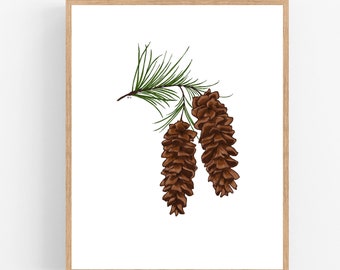 White Pine Cone and Tassel Color Illustration Digital Download / Maine State Flower Printable