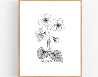 Wood Violet Coloring Pages
