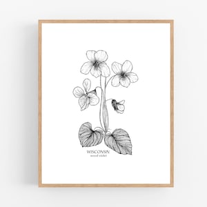 Wisconsin Wood Violet Ink Sketch Print / Printable / Art / Digital Download / Illustration / State Flower Print/ Violet / Viola