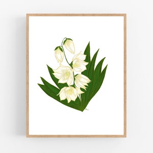Yucca Color Illustration Print / Printable / Art / Digital Download / Botanical Print / Yucca Drawing / New Mexico State Flower