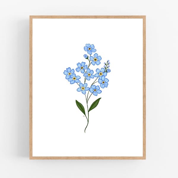 Forget-me-not Illustration Print / Printable / Art / Digital Download / Botanical Print / Forget me not / Alaska State Flower / Wall Art