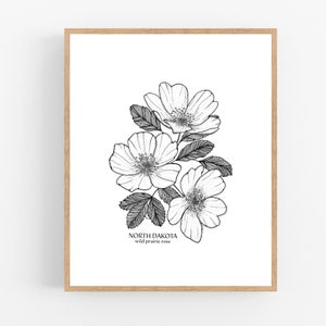 North Dakota Wild Prairie Rose Ink Sketch Print / Printable / Art / Digital Download / Botanical Print / North Dakota State Flower
